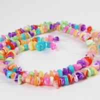 Natural Freshwater Shell Beads, Trochus, Nuggets, DIY, mixed colors, Length about 3-5mm, Sold Per Approx 38-40 cm Strand