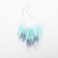 Fashion Dream Catcher, Feather, with leather cord & Plastic & Iron, handmade, for home and office & different styles for choice, mixed colors, 650mm, Sold By PC