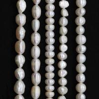 Naturales agua dulce perlas sueltas, Perlas cultivadas de agua dulce, Bricolaje & diverso tamaño para la opción & diferentes estilos para la opción, Vendido por Sarta