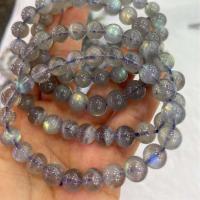 Gemstone Bracelets Labradorite Round fashion jewelry & Unisex grey Length Approx 18 cm Sold By PC
