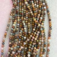 Gemstone smykker perler, Marine Fossil, Runde, du kan DIY & forskellig størrelse for valg, blandede farver, Solgt Per Ca. 38 cm Strand