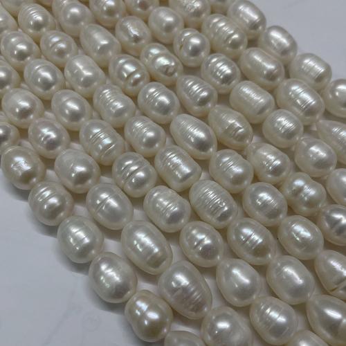 Barocco coltivate in acqua dolce Perla, perla d'acquadolce coltivata naturalmente, DIY, bianco, 11-12mm, Appross. 27PC/filo, Venduto da filo