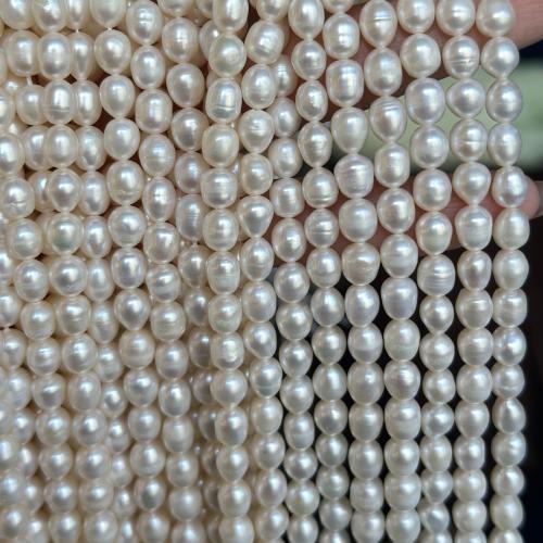 Riso coltivato in perla d'acqua dolce, perla d'acquadolce coltivata naturalmente, DIY, bianco, 6-7mm, Venduto per Appross. 35 cm filo