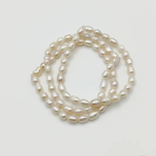 Freshwater Cultured Pearl Bracelet Freshwater Pearl fashion jewelry & for woman white Length 16 cm Sold By PC