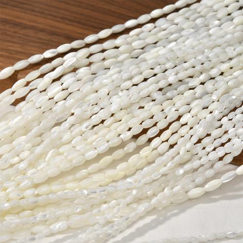 Natural Freshwater Shell Beads, Trochus, Oval, DIY & different size for choice, white, Sold By Strand