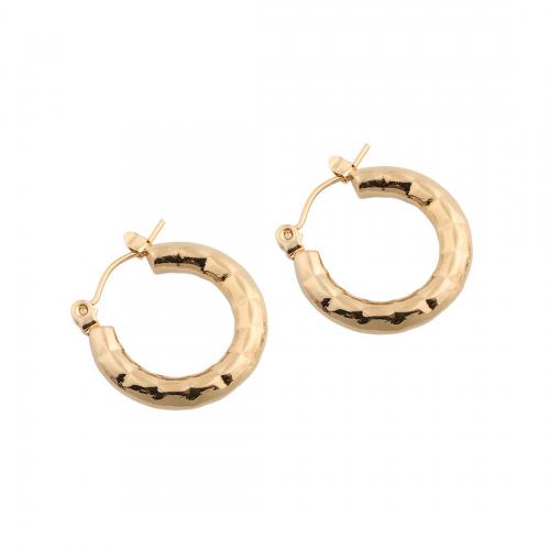 Stainless Steel Lever Back Earring, 304 Stainless Steel, plated, for woman, golden, 20.50x19.50x3mm, Sold By Pair