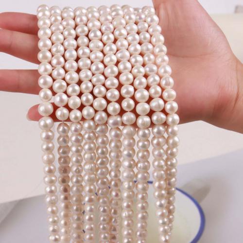Cultured Round Freshwater Pearl Beads DIY white Sold By Strand