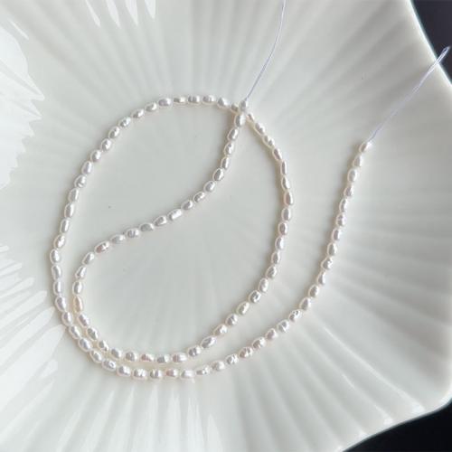 Barocco coltivate in acqua dolce Perla, perla d'acquadolce coltivata naturalmente, DIY, bianco, 2-3mm, Venduto per Appross. 37 cm filo
