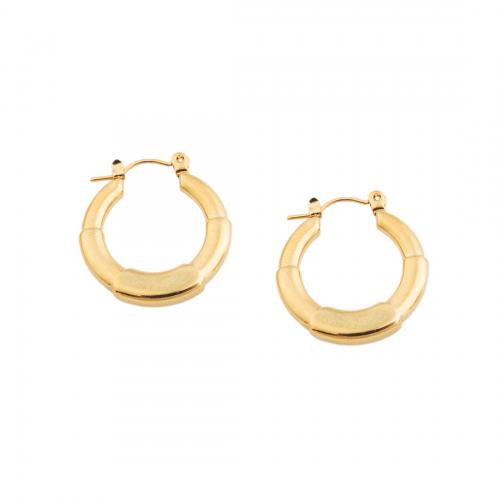 Stainless Steel Lever Back Earring 304 Stainless Steel fashion jewelry & for woman golden Sold By Pair