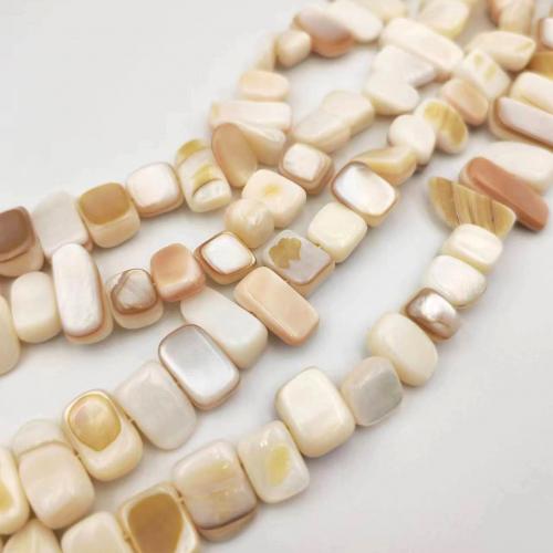 Koraliki z naturalnej słodkowodnej perły, Muszla, Bryłki, obyty, DIY, mieszane kolory, Length about 6-9mm, sprzedawane na około 38 cm Strand