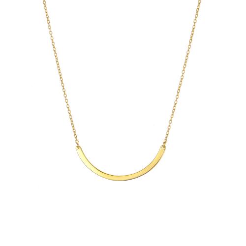 Edelstahl Schmuck Halskette, 316 Edelstahl, mit Verlängerungskettchen von 8cm, Modeschmuck & für Frau, keine, frei von Nickel, Blei & Kadmium, 33x15mm, Länge:ca. 42 cm, verkauft von PC
