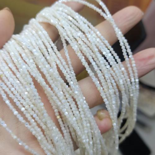 Perles de coquillages blancs, Lèvre blanche, Rond, DIY, blanc, 2mm, Vendu par Environ 38-40 cm brin