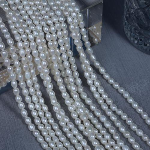 Perlas Arroz Freshwater, Perlas cultivadas de agua dulce, Bricolaje, Blanco, 4.50mm, Vendido para aproximado 38 cm Sarta