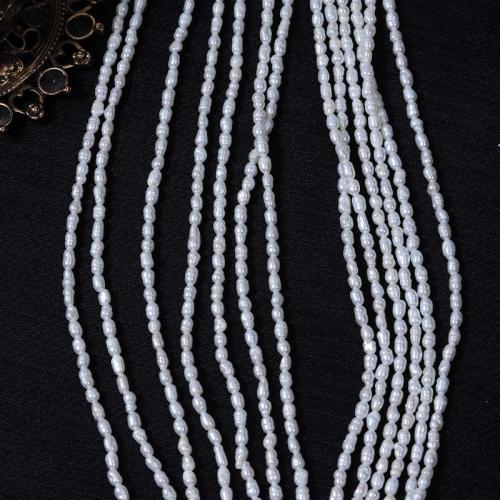 Perles d'eau douce de culture de riz, perle d'eau douce cultivée, DIY, blanc, Length about 2-2.5mm, Vendu par Environ 37 cm brin