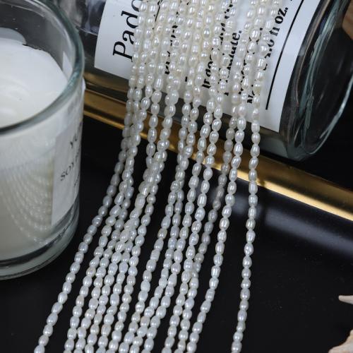 Perles d'eau douce de culture de riz, perle d'eau douce cultivée, DIY, blanc, Length about 2-2.5mm, Vendu par Environ 38 cm brin