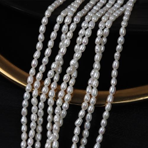 Rice Kulturan Slatkovodni Pearl perle, Riža, možete DIY, bijel, 2.50mm, Prodano Per Približno 37 cm Strand
