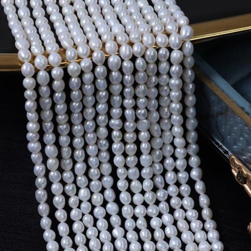 Perle perline Keishi coltivate d'acqua dolce, perla d'acquadolce coltivata naturalmente, DIY, bianco, 5mm, Venduto per Appross. 35 cm filo