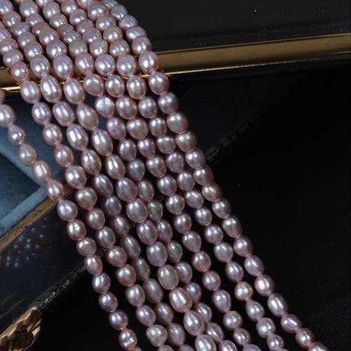 Perle perline Keishi coltivate d'acqua dolce, perla d'acquadolce coltivata naturalmente, DIY, viola, 5mm, Venduto per Appross. 35 cm filo