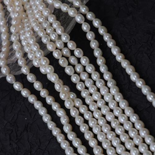 Riso coltivato in perla d'acqua dolce, perla d'acquadolce coltivata naturalmente, DIY, bianco, 6mm, Venduto per Appross. 37 cm filo