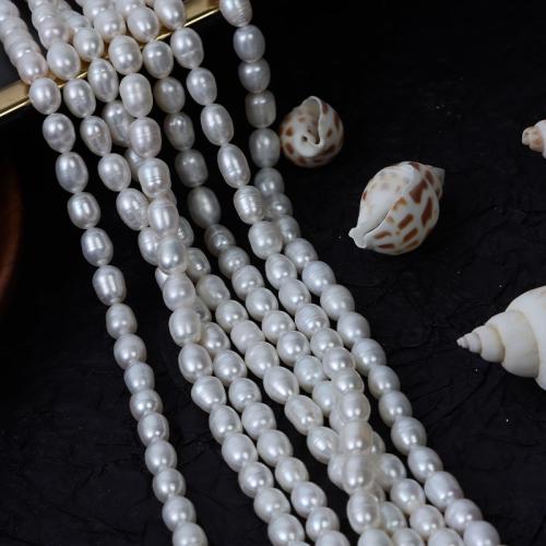 Perlas Arroz Freshwater, Perlas cultivadas de agua dulce, Bricolaje, Blanco, 6mm, Vendido para aproximado 35-36 cm Sarta