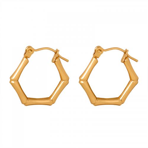 Titanium Steel  Earring, Hexagon, Vacuum Ion Plating, fashion jewelry & for woman, more colors for choice, 20x20mm, Sold By Pair