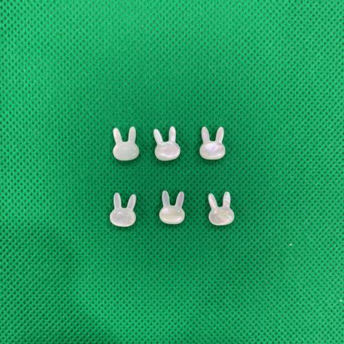 Natural Freshwater Shell Beads, Rabbit, DIY, more colors for choice, 8x10mm, Sold By PC