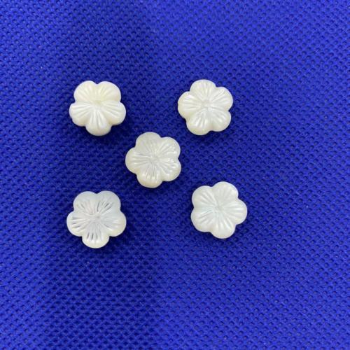 White Lip Shell Beads, Flower, DIY, white, 12mm, Sold By PC