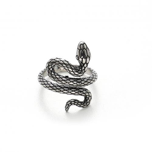 Ring Finger Titantium stali, Wąż, Namaścić, biżuteria moda & różnej wielkości do wyboru & różne style do wyboru & dla człowieka, bez zawartości niklu, ołowiu i kadmu, sprzedane przez PC