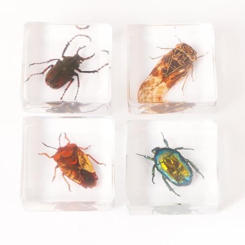 Resin Decoration, Square, transparent & different styles for choice, 38x38x14mm, Sold By PC