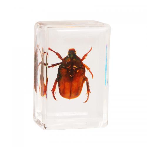Resin Decoration Rectangle transparent Sold By PC