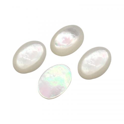 Shell Cabochons, White Lip Shell, Oval, polished, DIY & different size for choice, Sold By PC