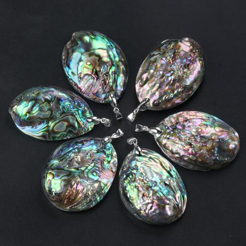 Natural Abalone Shell Pendants Oval DIY 35-45mm 55-60mm Sold By PC