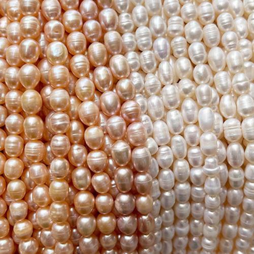 Cultured Potato Freshwater Pearl Beads Ellipse polished  Sold By Strand
