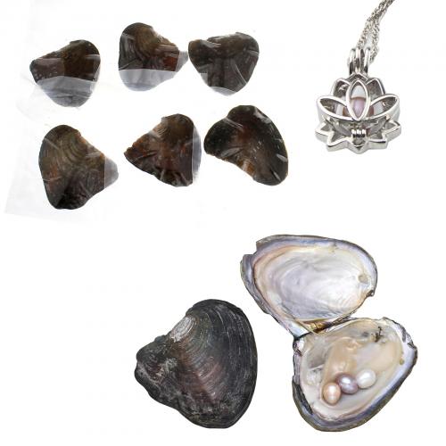 Oyster & Wish Pearl Kit, Freshwater Pearl, Potato, different size for choice, mixed colors, Approx 10PCs/Lot, Sold By Lot