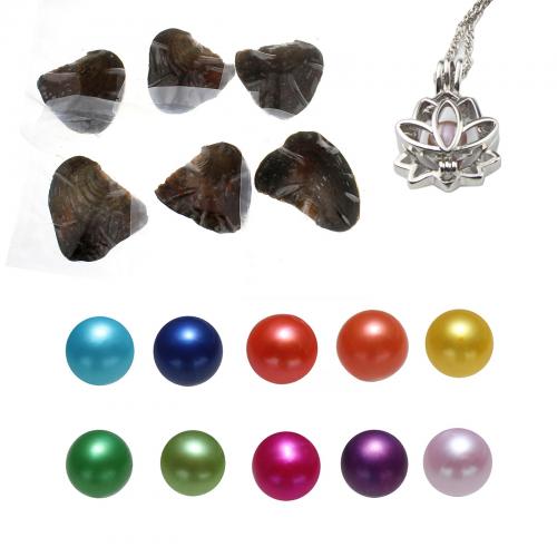 Oyster & Wish Pearl Kit, Freshwater Pearl, Potato, mixed colors, 7-8mm, Approx 10PCs/Lot, Sold By Lot
