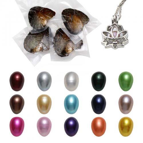 Oyster & Wish Pearl Kit, Perlas cultivadas de agua dulce, Arroz, color mixto, 7-8mm, aproximado 50PCs/Grupo, Vendido por Grupo