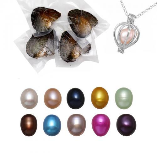 Oyster & Wish Pearl Kit, Natürliche kultivierte Süßwasserperlen, Halskette, verschiedene Stile für Wahl, gemischte Farben, 170x120x30mm, ca. 10PCs/Tasche, verkauft von Tasche