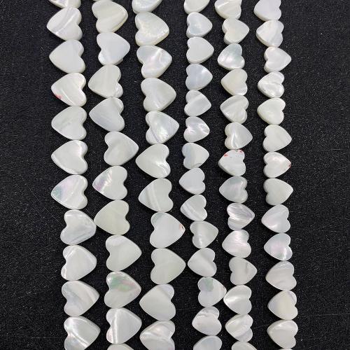 Perles naturelles de coquillages de mer , coquillage, coeur, DIY & normes différentes pour le choix, blanc, Vendu par Environ 38 cm brin