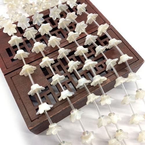 Perles naturelles de coquillages de mer , coquillage, fleur, DIY, blanc, 5x12mm, Vendu par PC