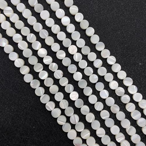 Natural Sea Shell Beads, conchiglia marina, Forma diversa per scelta & DIY, bianco, Venduto per Appross. 38 cm filo