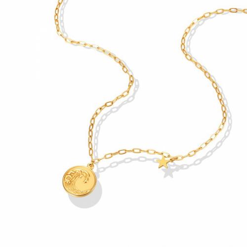 Titanstahl Halskette, mit Verlängerungskettchen von 5cm, flache Runde, Modeschmuck & für Frau, goldfarben, frei von Nickel, Blei & Kadmium, 17x17mm, Länge:ca. 42 cm, verkauft von PC