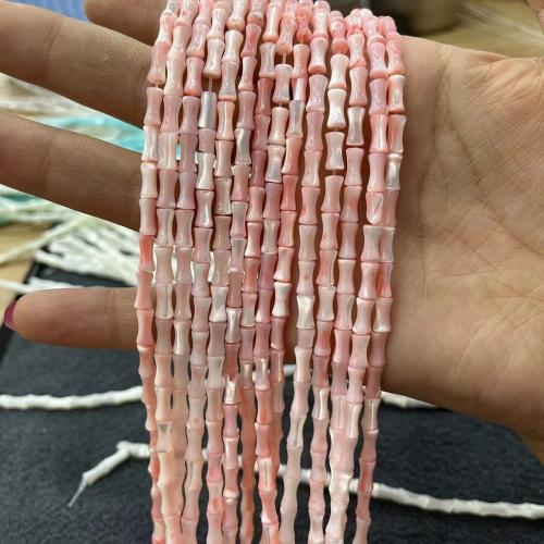 Natural Freshwater Shell Beads Trochus Bamboo DIY Approx Sold By Strand