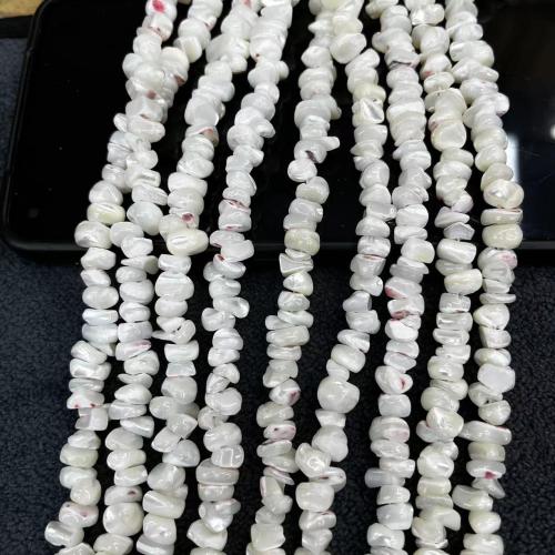 Natural Freshwater Shell Beads, Trochus, Nuggets, fashion jewelry & DIY, white, Length about 7-9mm, Approx 110PCs/Strand, Sold By Strand