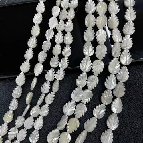 Perles naturelles de coquillage d'eau douce , Haut Coque, feuille, bijoux de mode & DIY & normes différentes pour le choix, blanc, Vendu par Environ 38 cm brin