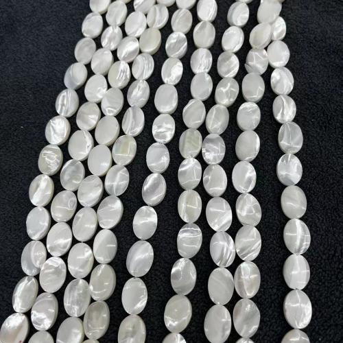 Perles naturelles de coquillage d'eau douce , Haut Coque, ovale plat, bijoux de mode & DIY, blanc, 10x15mm, Environ 27PC/brin, Vendu par brin