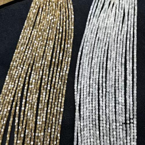 Natural Freshwater Shell Beads, Trochus, Column, fashion jewelry & DIY, more colors for choice, 3.50x3.50mm, Approx 112PCs/Strand, Sold By Strand