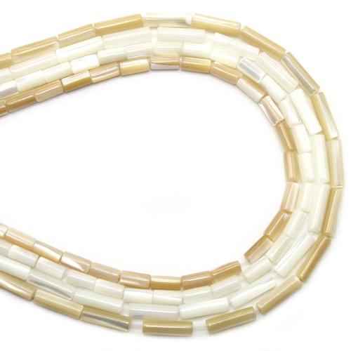 Natural Freshwater Shell Beads, Trochus, Column, DIY & different size for choice, more colors for choice, Sold By Strand