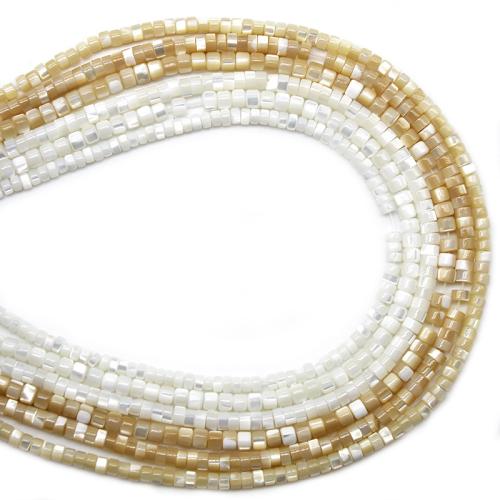 Natural Freshwater Shell Beads Trochus Column DIY Sold By Strand