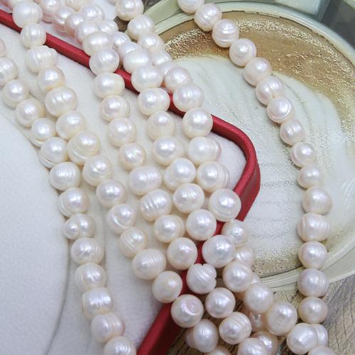 Natural Freshwater Pearl Loose Beads, Slightly Round, fashion jewelry & DIY, white, Length about 10-11mm, Sold Per Approx 38 cm Strand