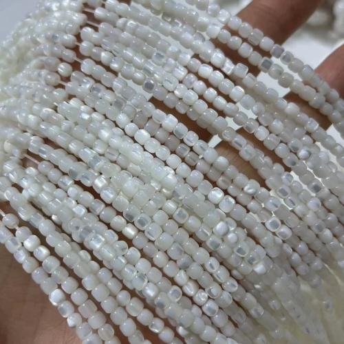Natürliche Süßwasser Muschel Perlen, Pearl Shell, poliert, DIY, weiß, 3.50x3.50mm, verkauft per ca. 38-40 cm Strang